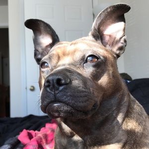 Meet your Posher, Stuart